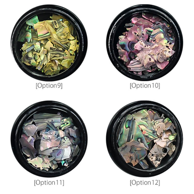 天然貝 模様付シェル12色セット